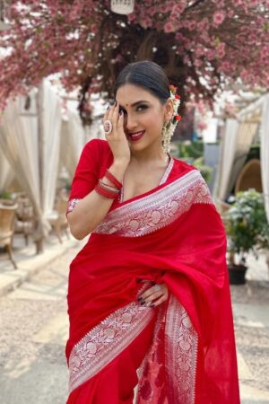 Premium Quality Exclusive Traditional Red Banarasi Silk Saree